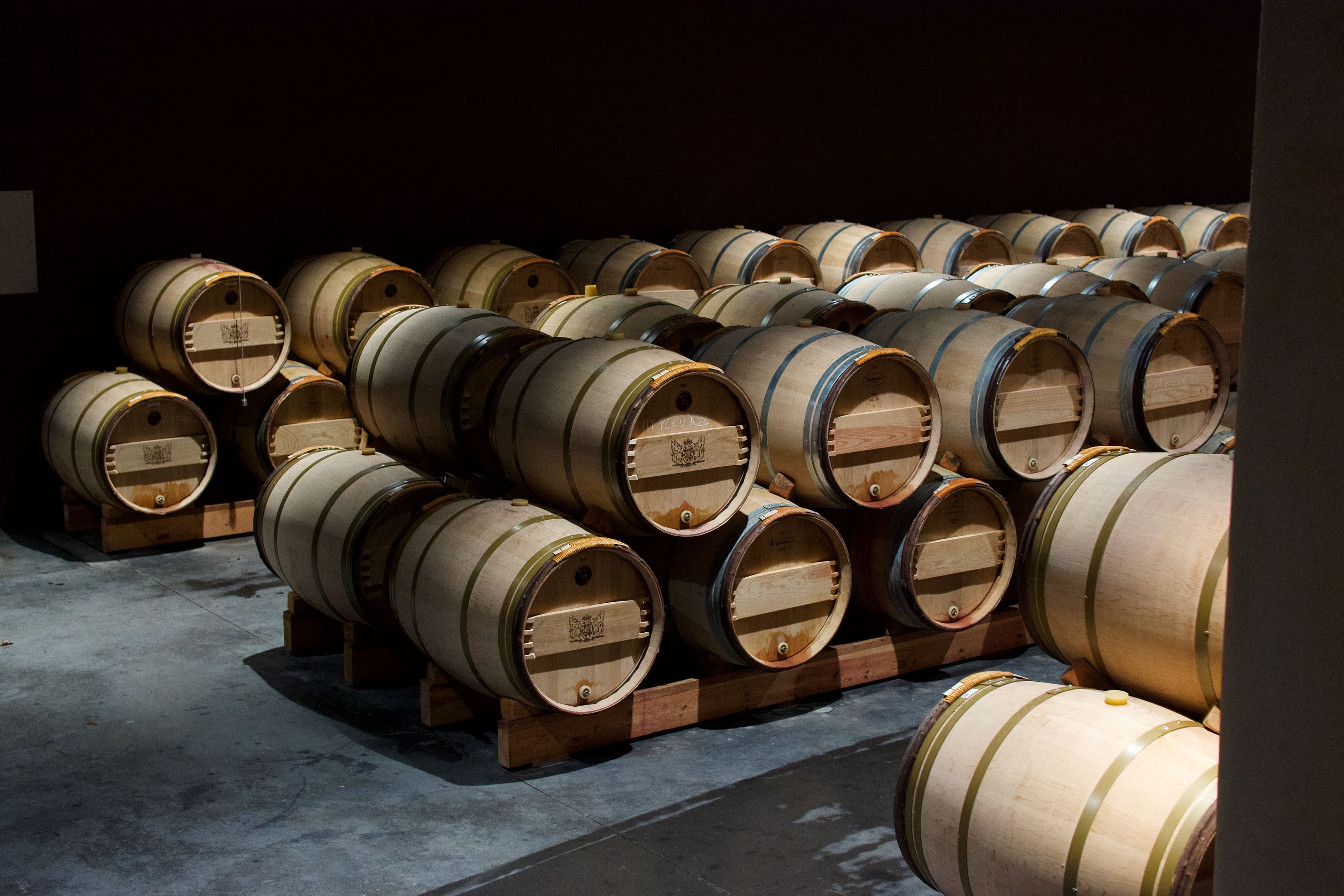 VINO CON CRIANZA