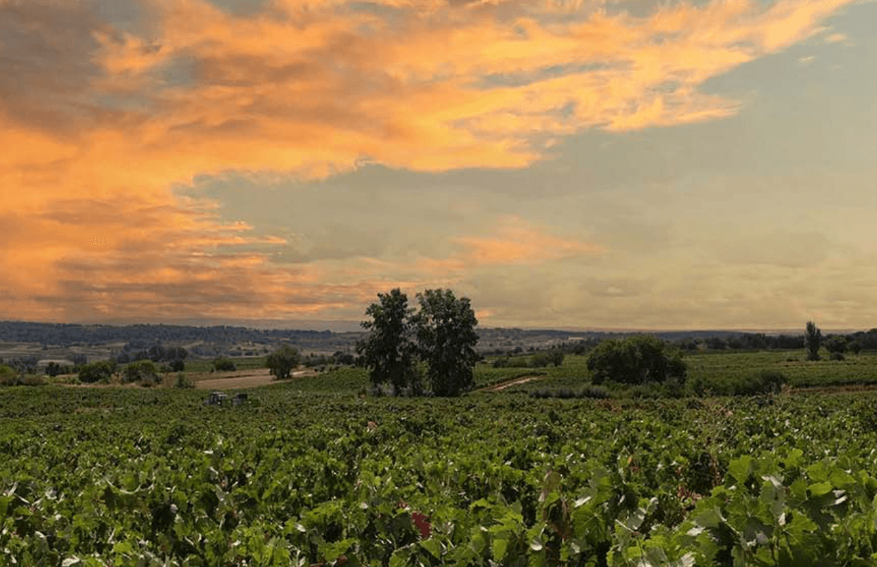 Bodegas El Hacedor