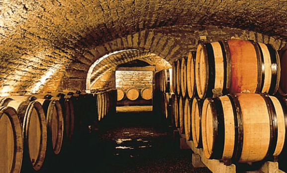 Bodegas Francisco Casas 3